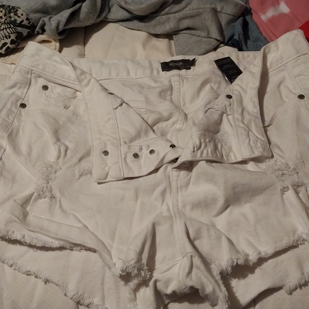 Torrid shorts